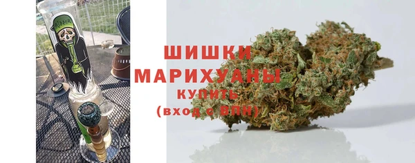 ешки Медногорск