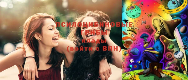 каннабис Майский