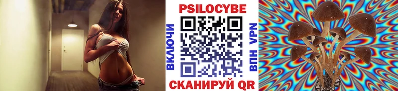 магазин  наркотиков  Королёв  Псилоцибиновые грибы Cubensis 