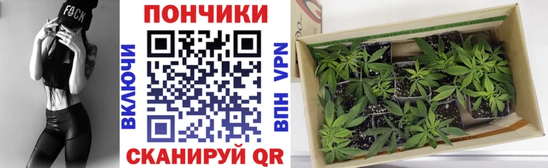 Марихуана Ganja  ОМГ ОМГ как войти  Королёв  где можно купить наркотик 